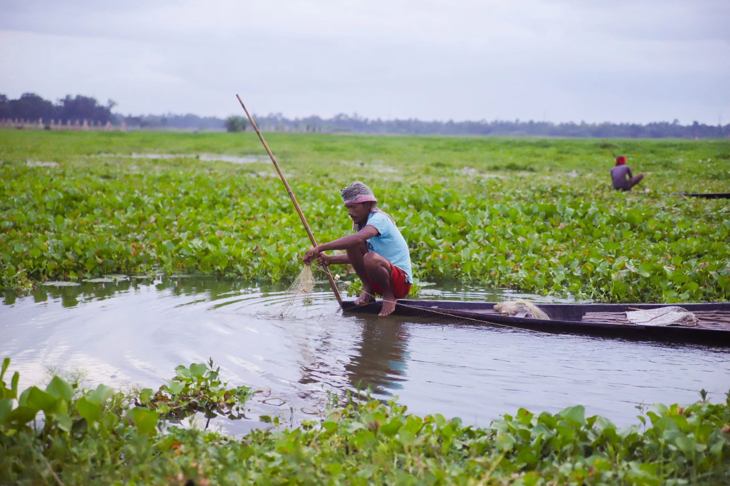 Benefits of Organic Farming in Northeast India