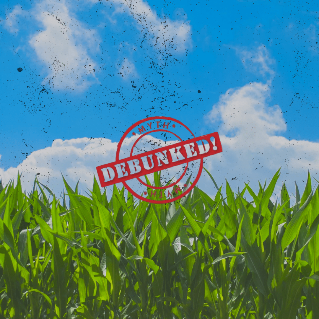 Organic farming myths