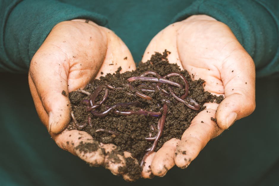 benefits of vermicomposting