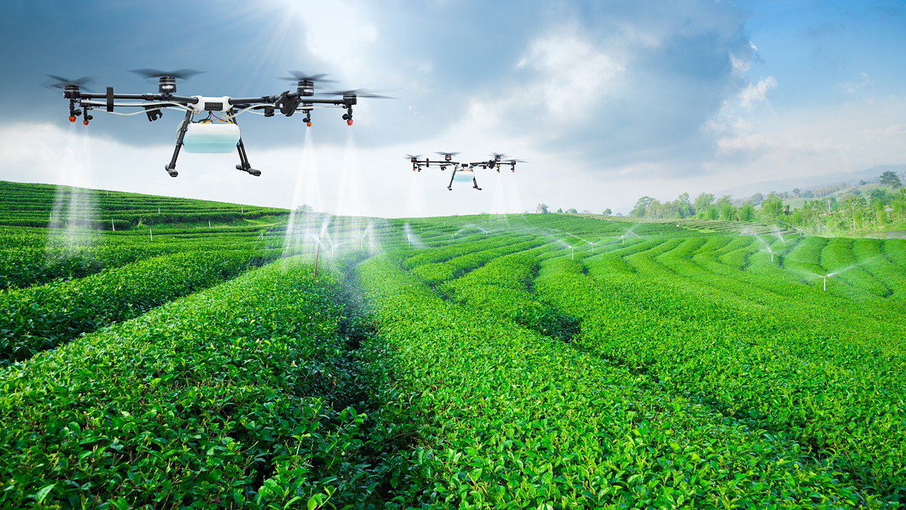 Agricultural drones in tea gardern Assam