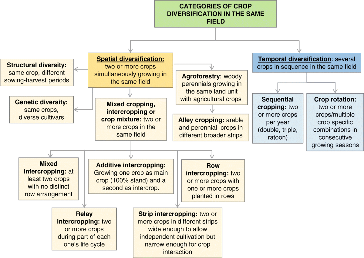 Diagram illustrating various crop diversification methods like intercropping, alley cropping, and relay cropping.