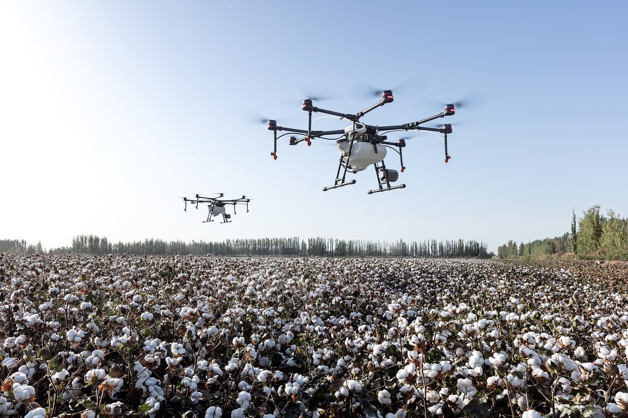 Organic farmer using an agricultural drone to monitor crops
