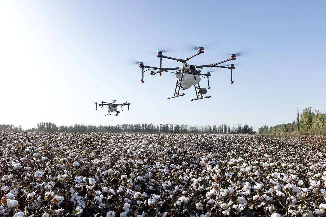 Organic farmer using an agricultural drone to monitor crops