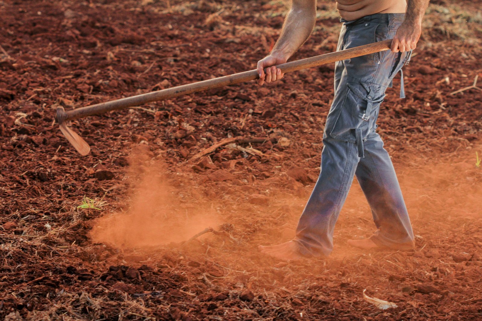 Farmers in Northeast India using no-till methods to preserve soil health and reduce erosion.