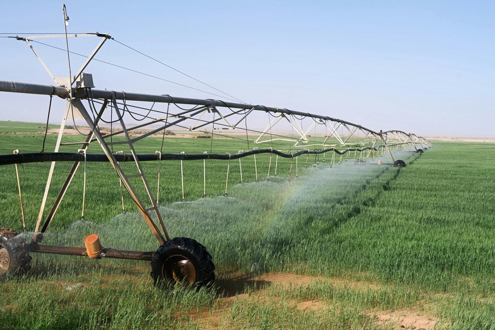 Farmers in Northeast India using a drip irrigation system to conserve water and improve crop yields.