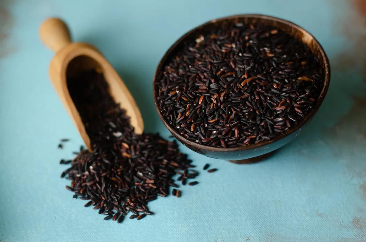 Chakhao Black Rice from Manipur, a nutrient-rich rice variety with high antioxidant content.