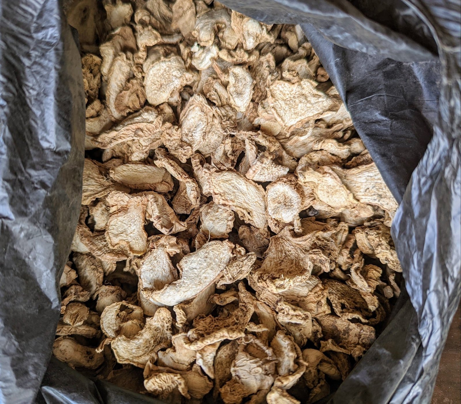 Sustainably grown organic dry ginger in Northeast India, paving the way for eco-friendly farming and future growth.