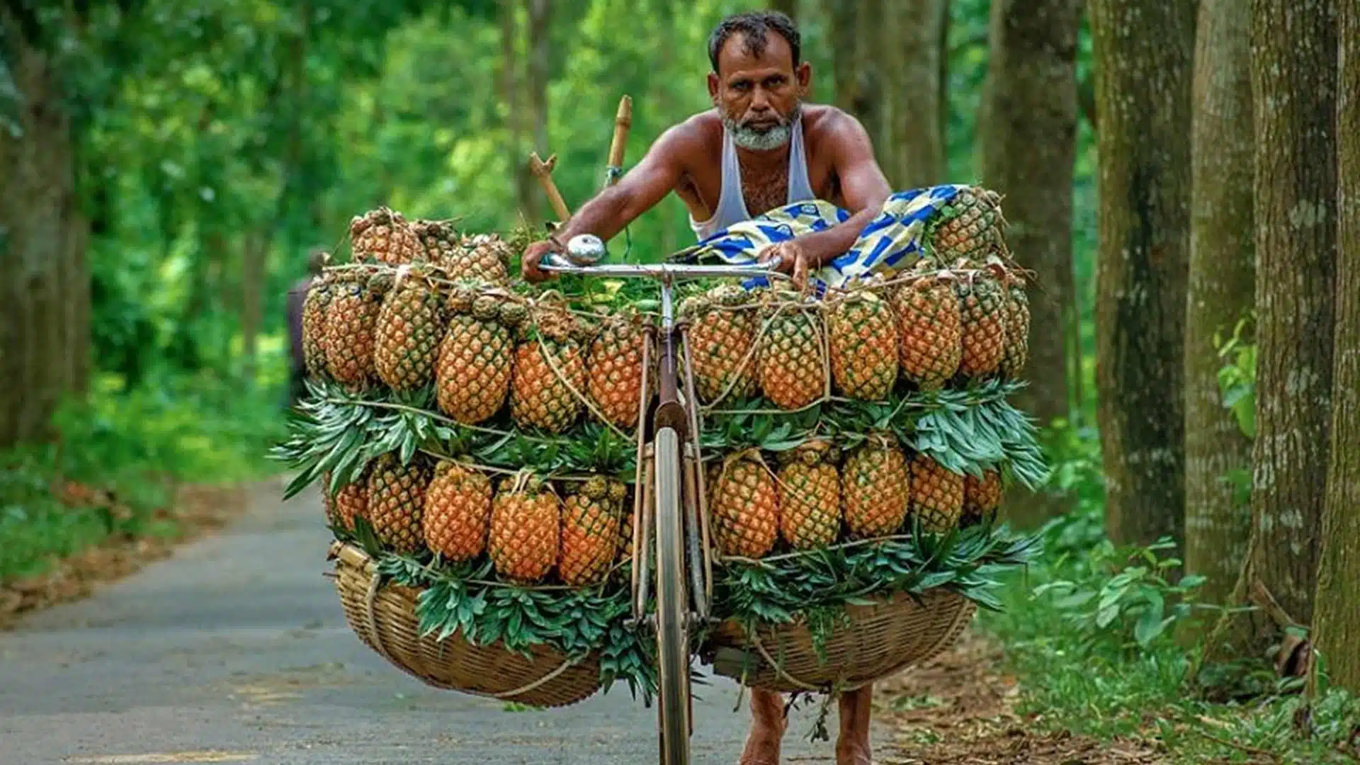 Local farmers in Tripura selling Queen Pineapples