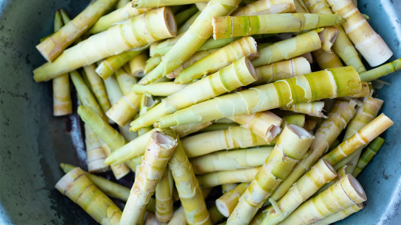 Freshly harvested bamboo shoots from Northeast India, rich in fiber and antioxidants, used in traditional dishes for their health benefits.