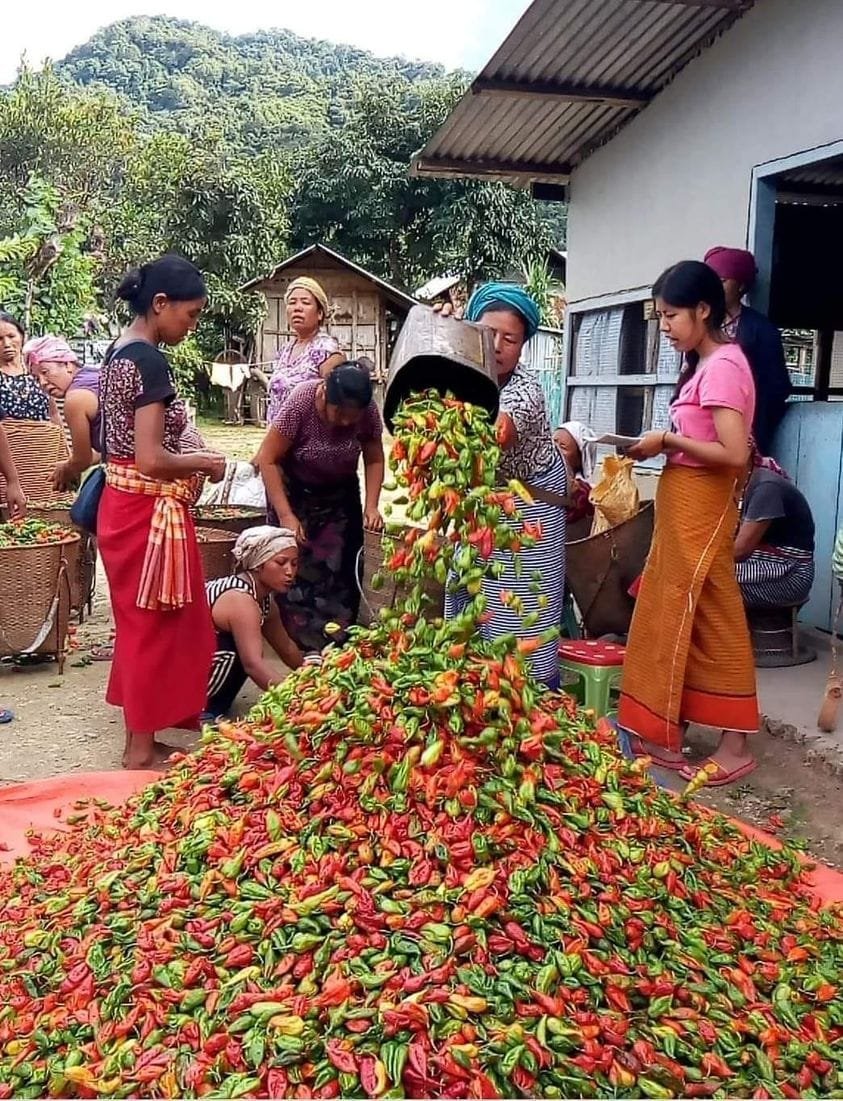 Traditional market in Northeast India displaying Bhut Jolokia for sale.