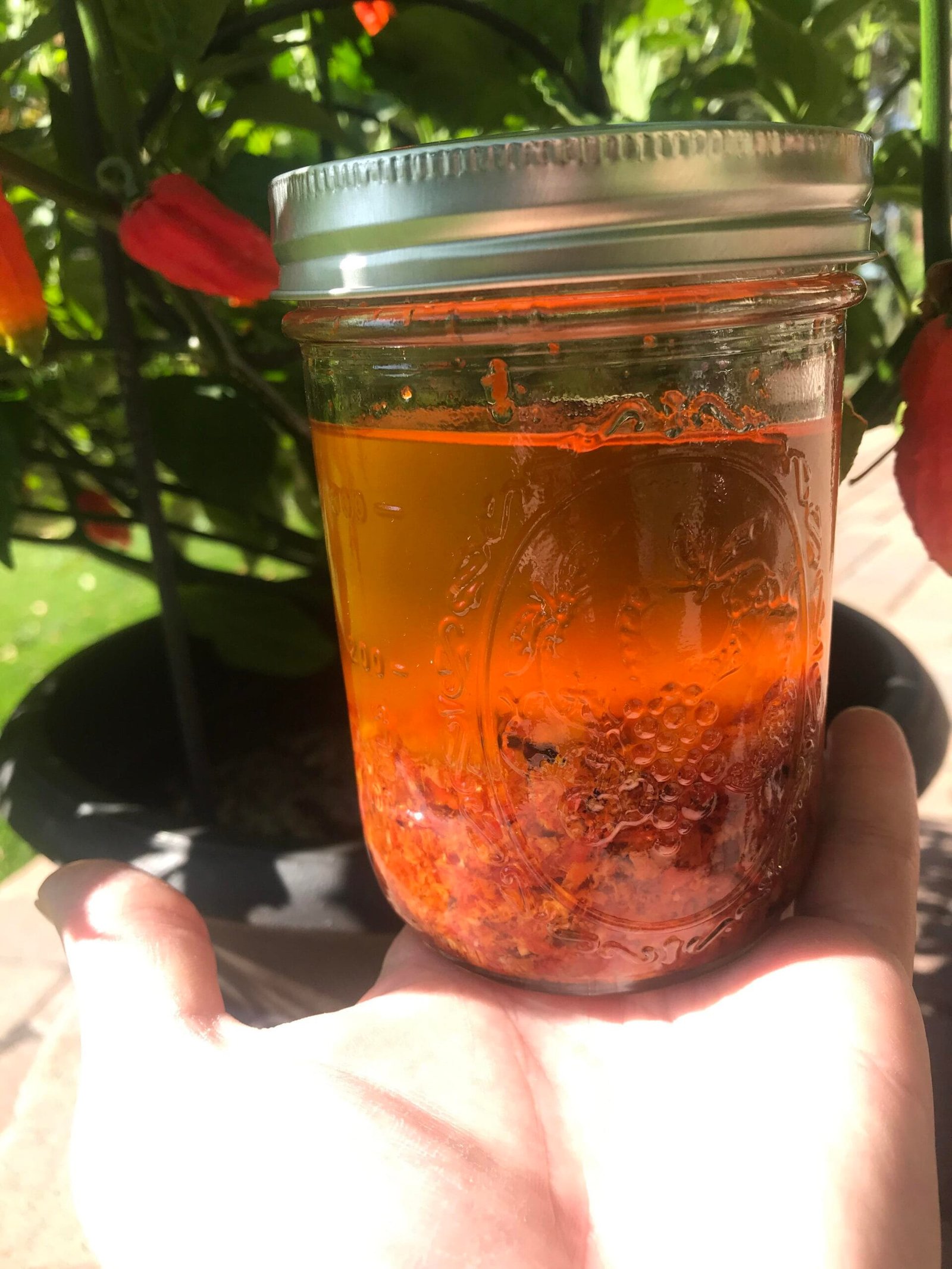 A jar of traditional Bhut Jolokia Oil
