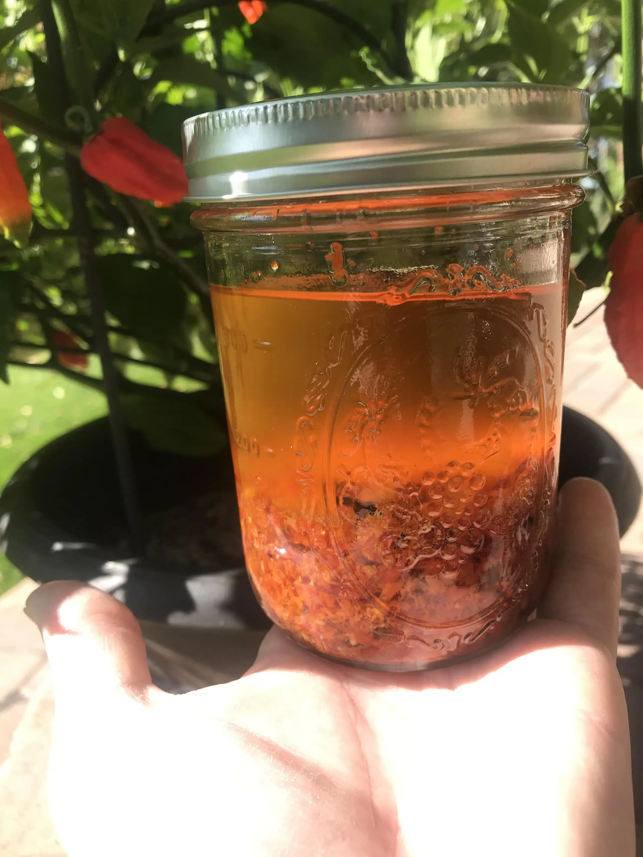 A jar of traditional Bhut Jolokia Oil