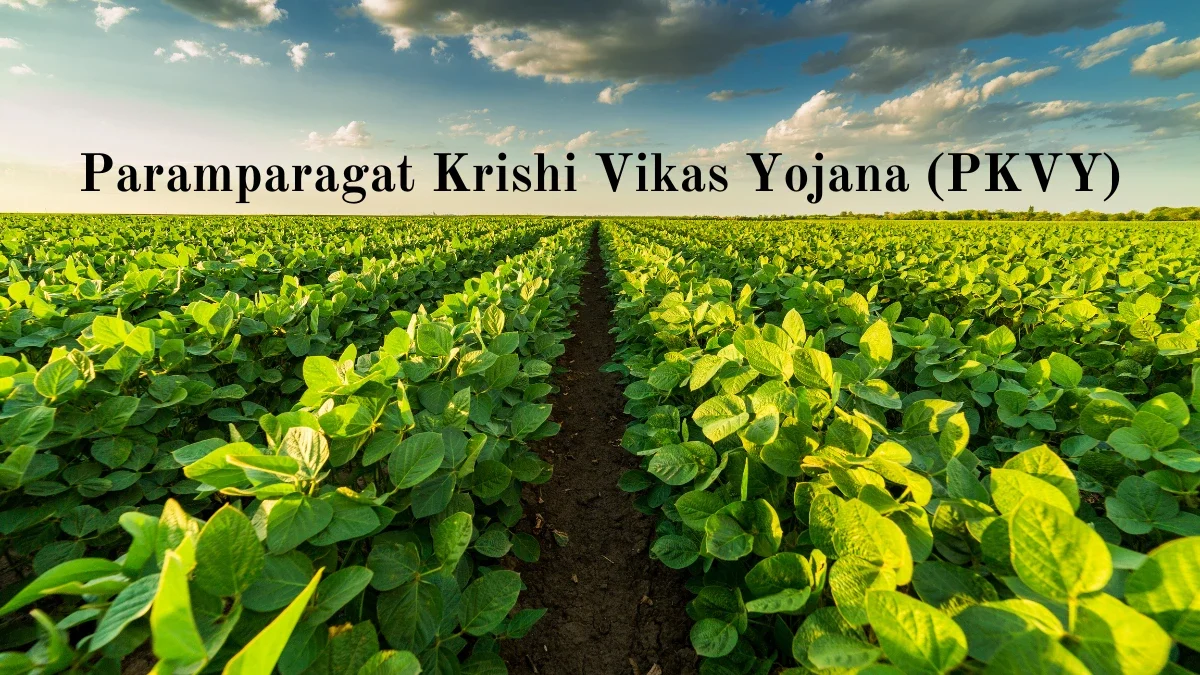 Paramparagat Krishi Vikas Yojana